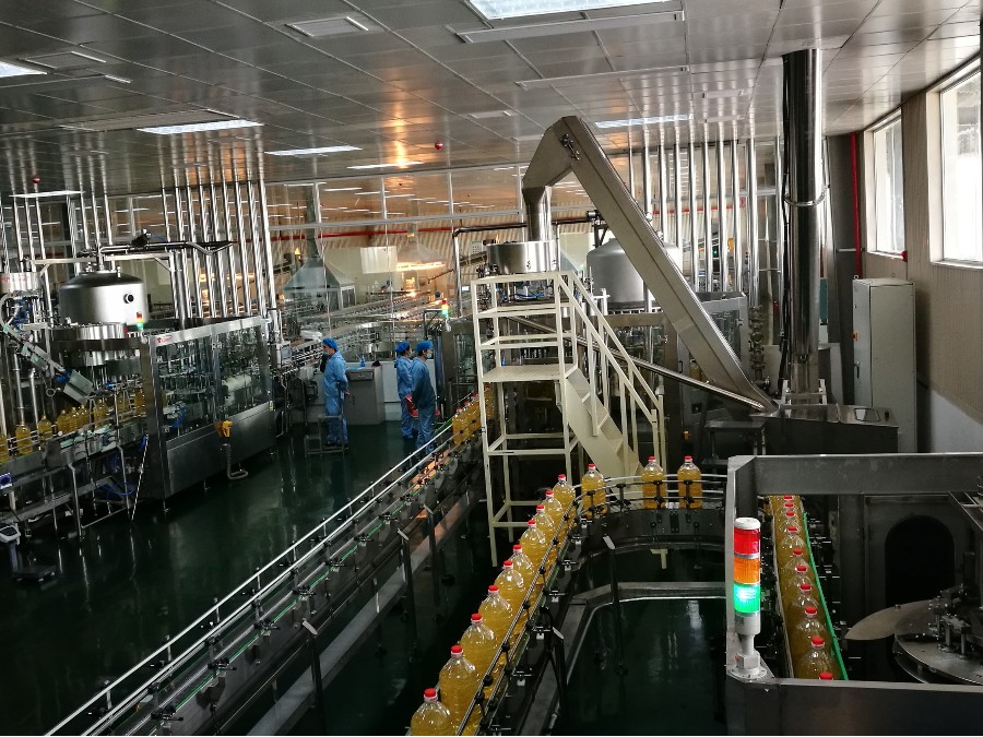 Conveyor belt